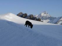 200705_Almiane_PMenue_2284_(DMorra).jpg